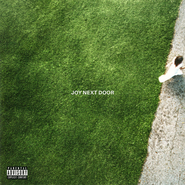 Maine, The : Joy Next Door (LP,Album,Stereo)