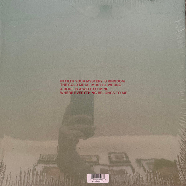 Dagmar Zuniga : In Filth Your Mystery Is Kingdom / Far Smile Peasant In Yellow Music (LP,Album,Limited Edition)