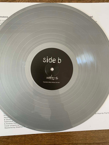 Teen Suicide : Nude Descending Staircase, Headless (LP,Album,Limited Edition)