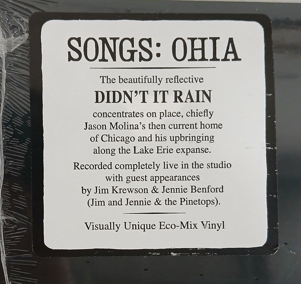 Songs: Ohia : Didn't It Rain (LP,Album,Reissue)