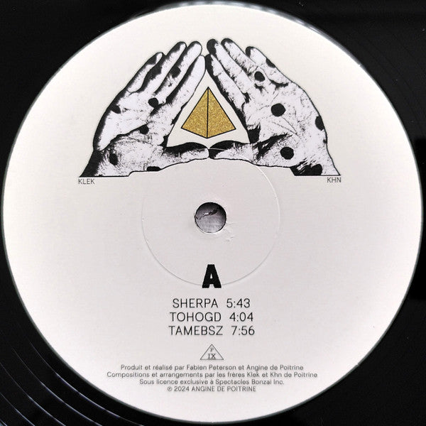 Angine De Poitrine : Vol.1 (LP,Album,Reissue,Stereo)