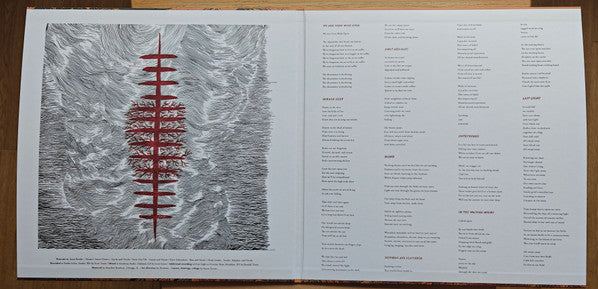 Neurosis : An Undying Love For A Burning World (LP,Album,Repress)
