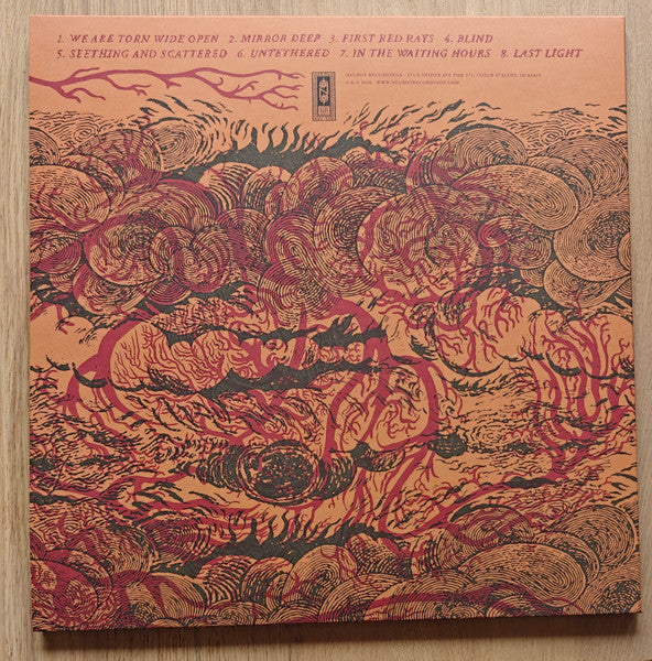 Neurosis : An Undying Love For A Burning World (LP,Album,Repress)