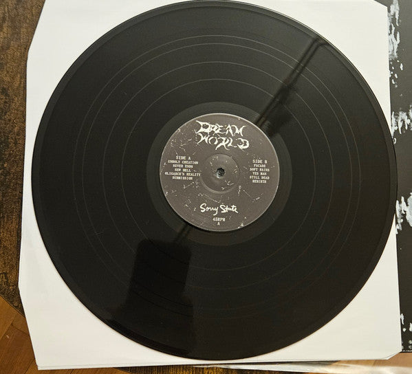 Dream World (2) :  Dream World (LP,45 RPM)