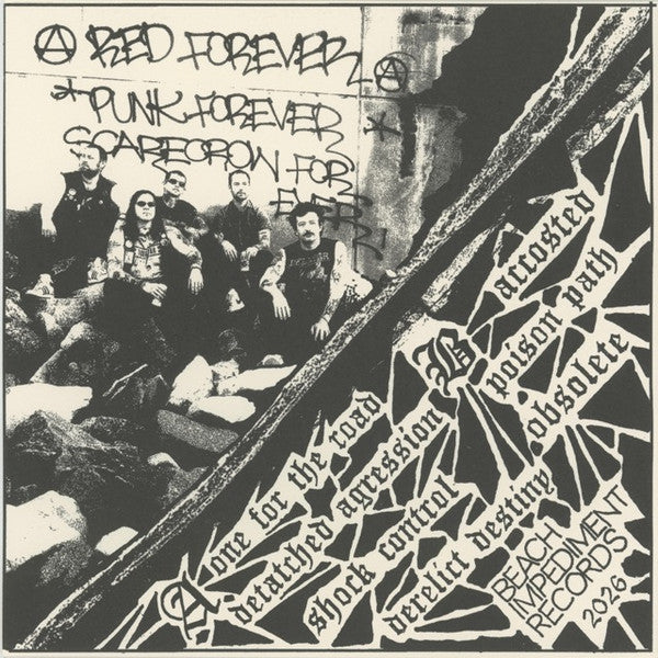Invertebrates : Accosted (7",EP)