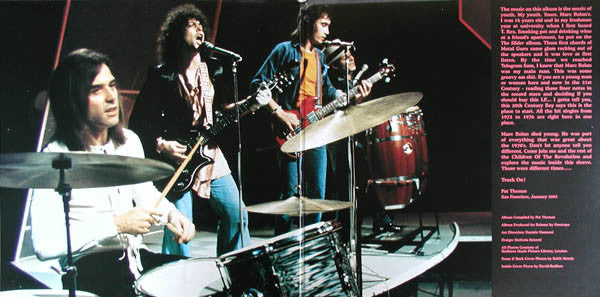 T. Rex : Solid Gold T.Rex (The Top 30 Singles Collection) (LP,Compilation)
