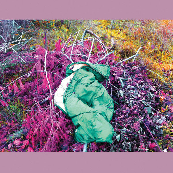 Dreamdecay : N V N V N V (LP)