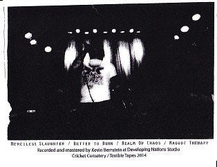 Putrisect : Chaos Awaits (Cass, EP, Ltd)