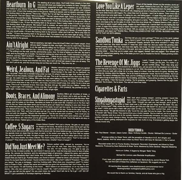 Sheer Terror : Standing Up For Falling Down (LP,Album)