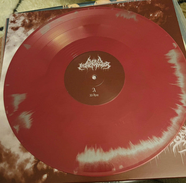 Dead In The Manger : Cessation (LP,Album,Limited Edition)