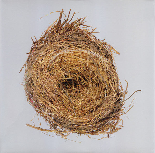 Wilco : A Ghost Is Born (LP,Album,Reissue)