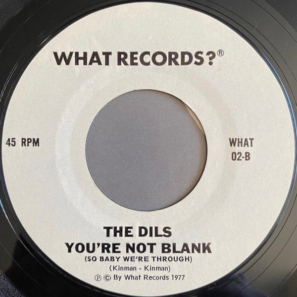 Dils, The : I Hate The Rich (7",45 RPM,Single,Styrene)