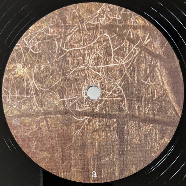 Nest Egg : Respectable (LP, Album)