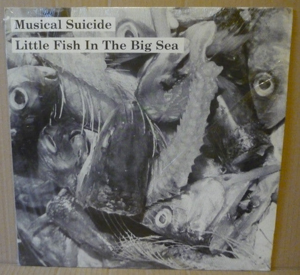 Musical Suicide : Little Fish In The Big Sea (LP, Album)