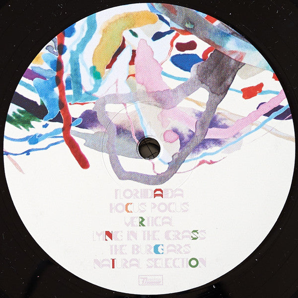 Animal Collective : Painting With (LP,Deluxe Edition,Limited Edition)