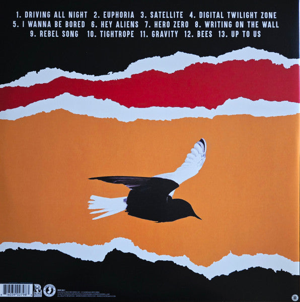 Bouncing Souls, The : Simplicity (LP,Album)