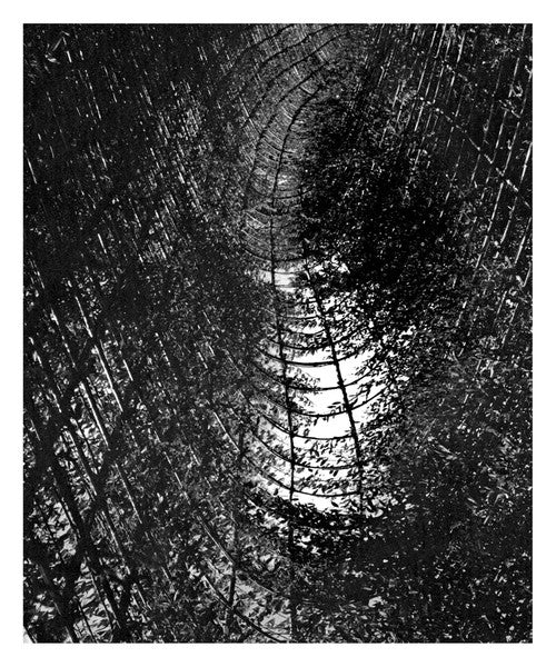Moss Harvest : Emergent Behaviours (Limited Edition)