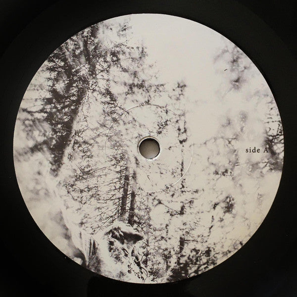 Negură Bunget : ZI (LP, Album)