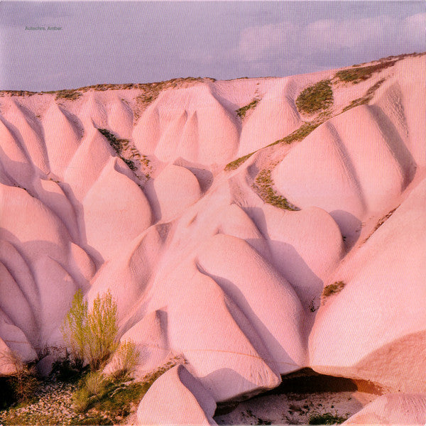 Autechre : Amber (LP,Album,Reissue,Repress)