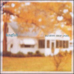 Lungfish : Rainbows From Atoms (LP,Album,Reissue)