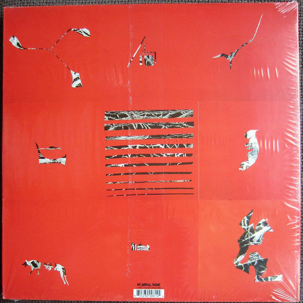 Animal Collective : Hollinndagain (LP,Album,Reissue)