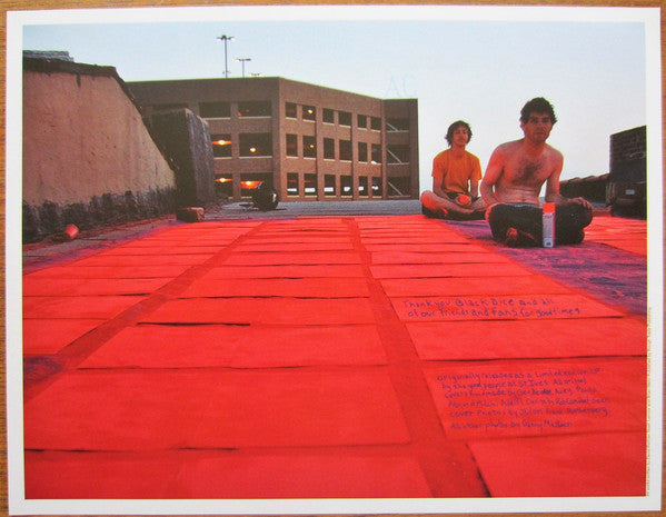 Animal Collective : Hollinndagain (LP,Album,Reissue)