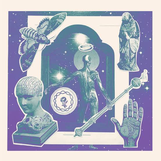 Shape , The - The Shape (LP)